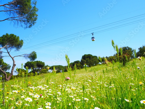 Paisaje panorámica en la montaña