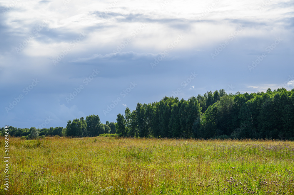 Summer (July) farm landscape. Blue sky, sun, airy white clouds.