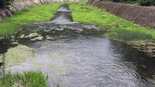 Black Timok River at Gamzigrad Spa in East Serbia Spring photo