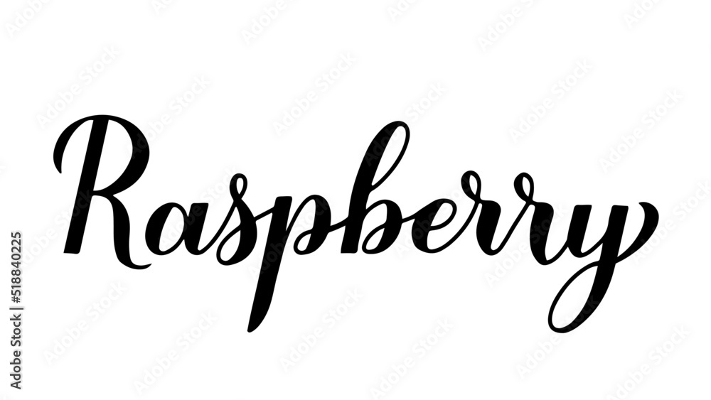 Raspberry calligraphy hand lettering isolated on white. Fresh summer berry. Vector template for typography poster, banner, sticker, shirt, etc