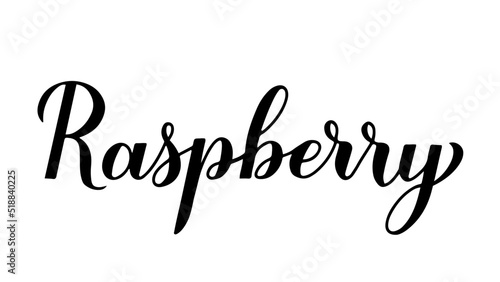 Raspberry calligraphy hand lettering isolated on white. Fresh summer berry. Vector template for typography poster, banner, sticker, shirt, etc
