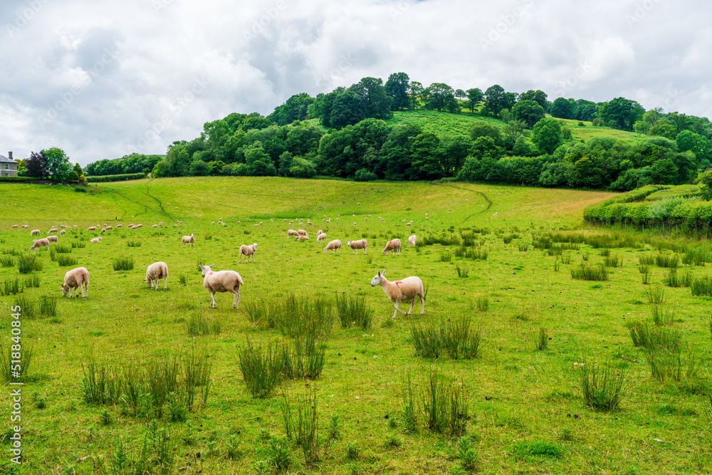 Rural landscape in Sennybridge village, Powys, Wales Rural landscape in Sennybridge village, Powys, Wales