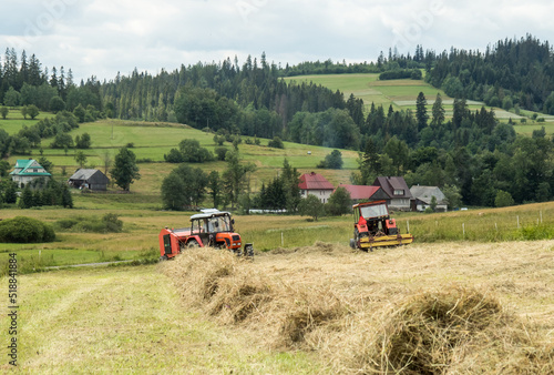 Bilde på lerret Haymaking in the countryside in the mountains