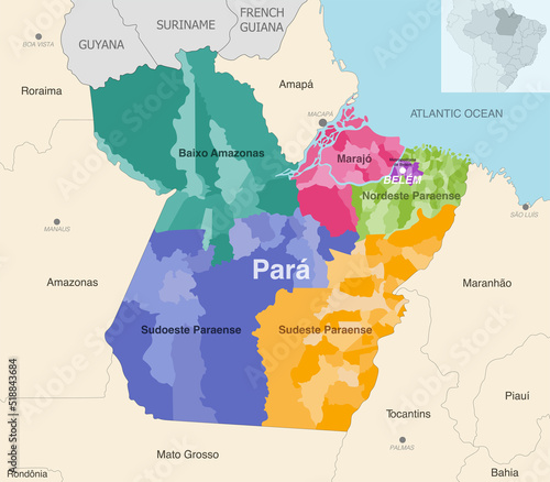 Brazil state Para administrative map showing municipalities colored by state regions (mesoregions)