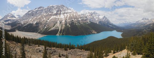 Epic panoramic view on a Summer day with emerald blue water and mountain glacier landscape of Peyto Lake in Banff National Park, Alberta, Canada.