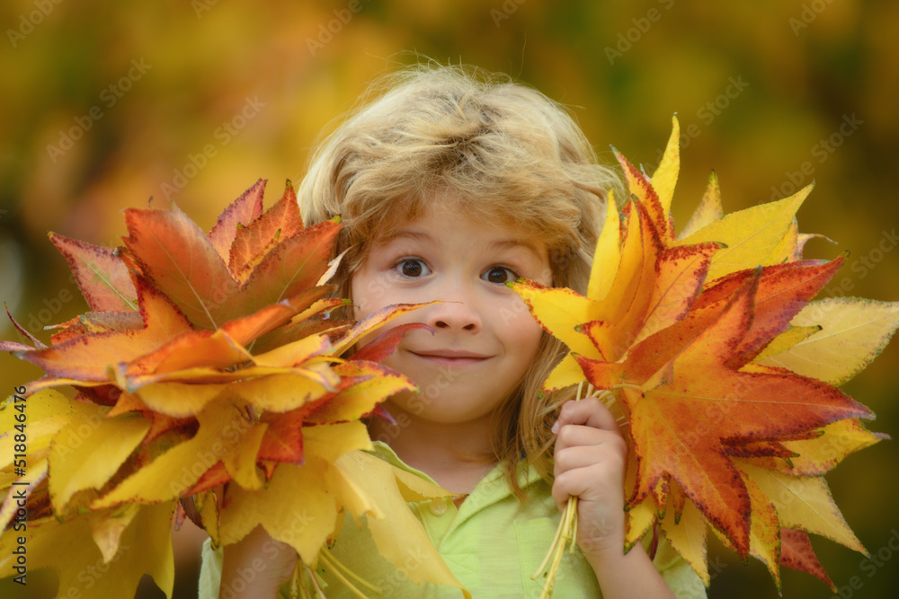 Autumn kids portrait closeup. Kids play in autumn park. Children throwing yellow leaves. Child boy with oak and maple leaf outdoor. Fall foliage. Toddler or preschooler in fall autumn nature.
