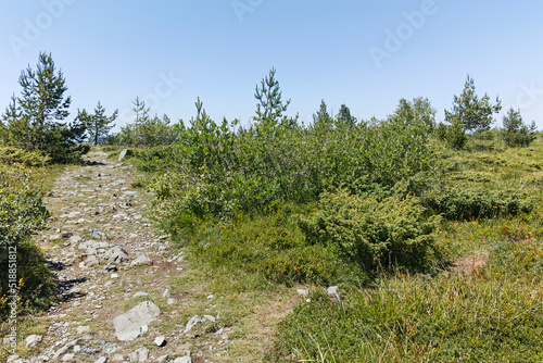 Vitosha Mountain near Kamen Del peak, Bulgaria