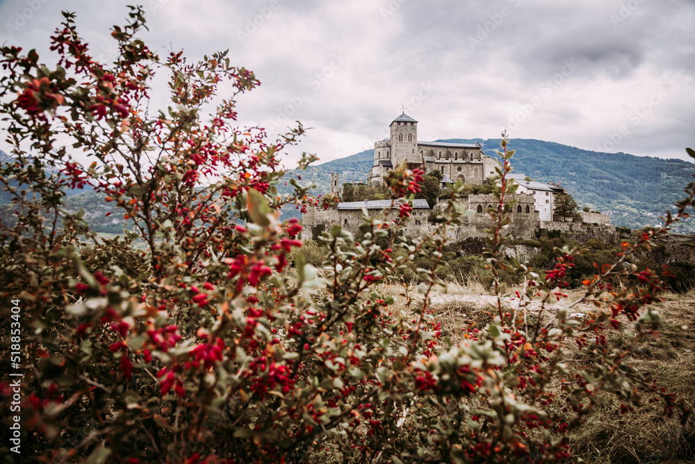 Sion, Switzerland: Medieval Valere Basilica and Berberis shrubs with read fruits.in the foreground