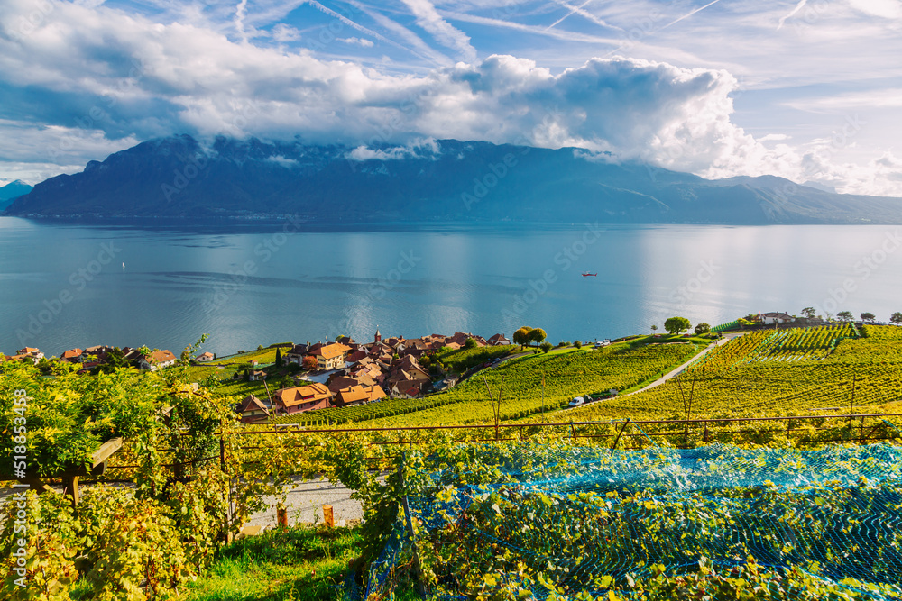 Lavaux, Switzerland: Little town, Lake Geneva and the Swiss Alps landscape seen from Lavaux vineyard tarraces in Canton of Vaud