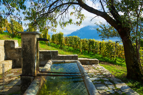 Lavaux, Switzerland: Fresh water source on hiking trail among Lavaux vineyard tarraces in Canton of Vaud photo