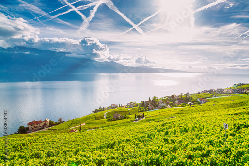 Lavaux, Switzerland: Lake Geneva and the Swiss Alps landscape seen from Lavaux vineyard tarraces in Canton of Vaud