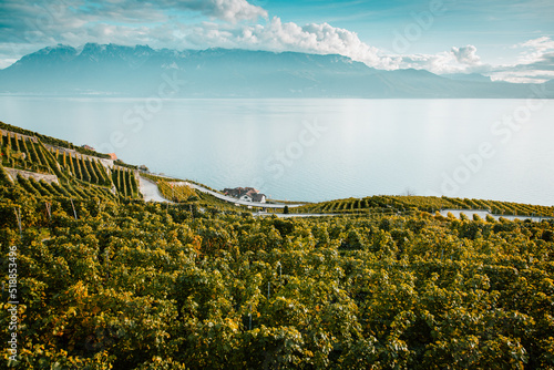 Lavaux, Switzerland: Lake Geneva and the Swiss Alps landscape seen from Lavaux vineyard tarraces in Canton of Vaud