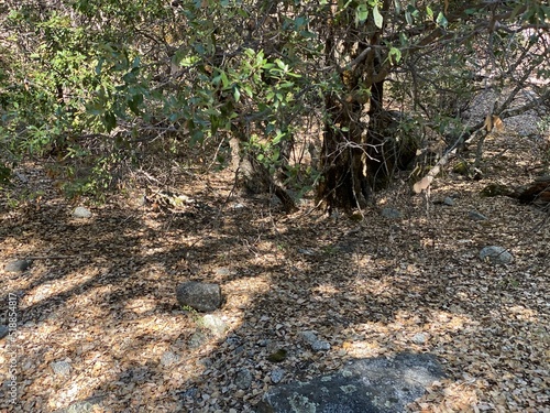 Wallpaper Mural nature, view, mountain, lake, river, sky, rock, rocky, landscape, fall, spring,  Torontodigital.ca