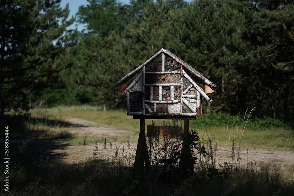 Insektenhotel in der Natur neben Tannenbaumwald Insektenhotel in der Natur neben Tannenbaumwald