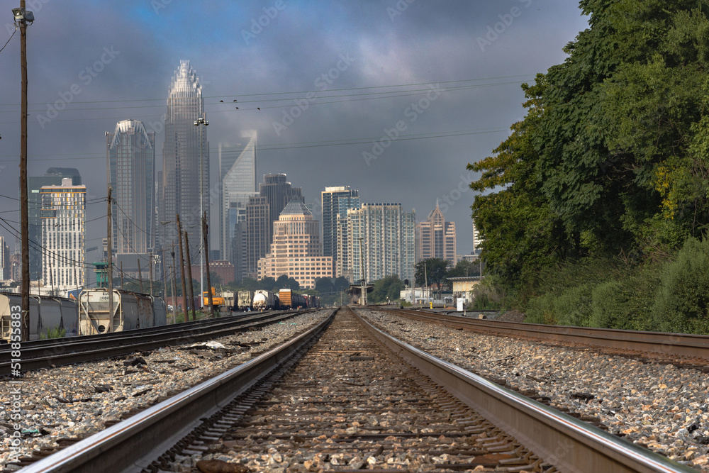 Fototapeta premium Charlotte