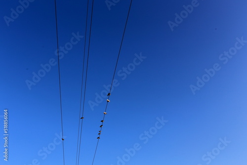 Electric pole and wires carrying high voltage current