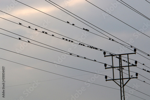 Electric pole and wires carrying high voltage current