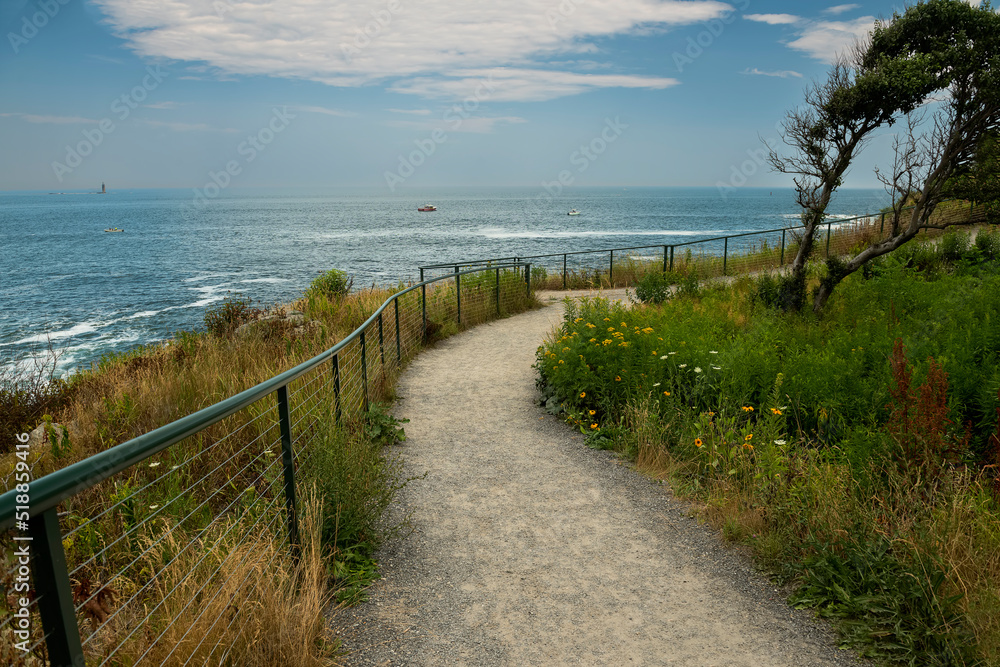 Coast of the Atlantic Ocean. Cliffs overgrown with wild flowers. summer. USA. Maine Coast of the Atlantic Ocean. Cliffs overgrown with wild flowers. summer. USA. Maine