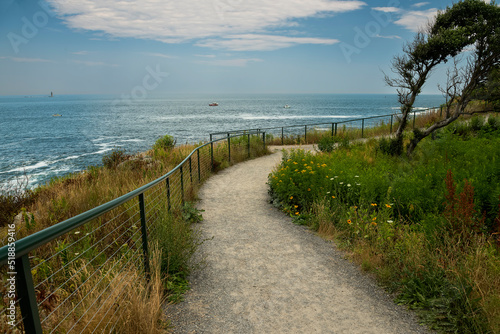 Coast of the Atlantic Ocean. Cliffs overgrown with wild flowers. summer. USA. Maine