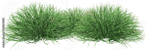 Front view of Plant (Grass Group 1) Tree illustration vector	