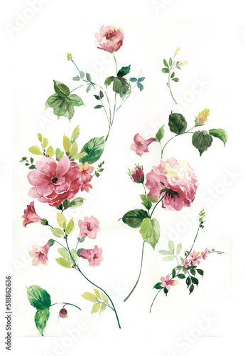Flowers watercolor illustration.Manual composition.Big Set watercolor elements，Design for textile, wallpapers，Element for design,Greeting card