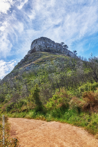 Walking or hiking pathway on a mountainside with green lush plants and flora. Zen nature landscape of rugged dirt trail for traveling at a national park in Cape Town with cloudy blue sky background