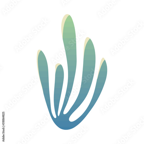 coral flat icon