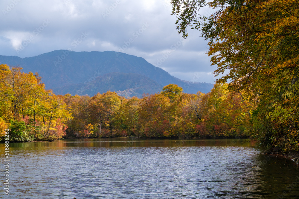 Fototapeta premium 鎌池の波