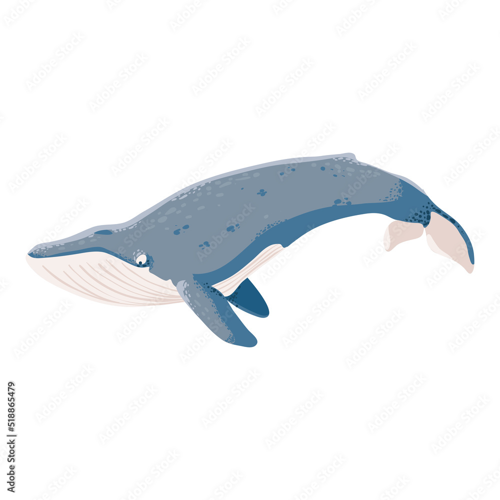 blue whale icon blue whale icon