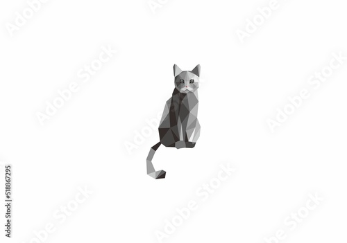 polygon cat