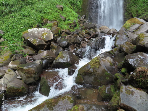 waterfall in the forest