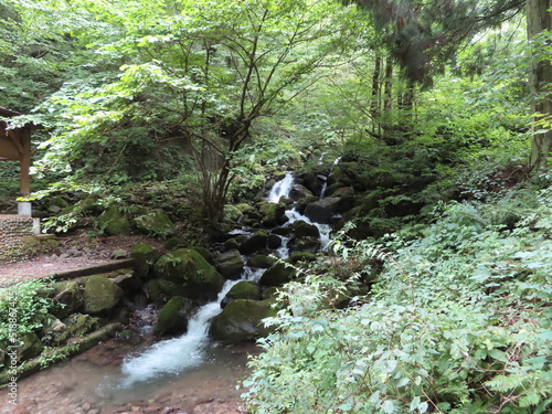 waterfall in the forest