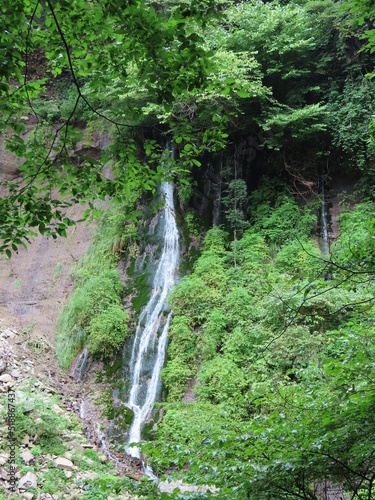 waterfall in the woods