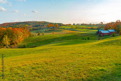 landscape of autumn farmland with woods in sunset light