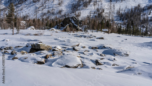 Picturesque boulders in the valley are covered with a layer of snow. The forest grows on a mountain slope. Altai