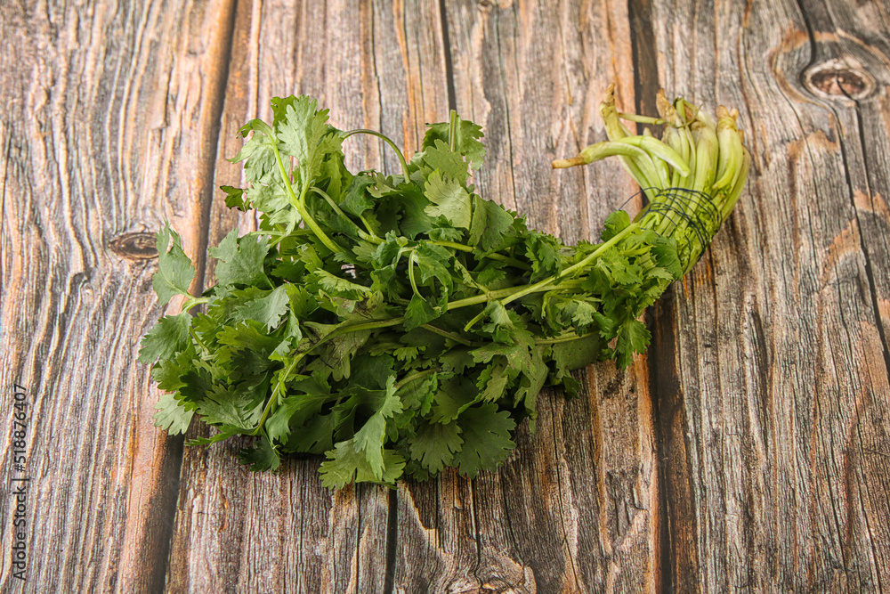 Green coriander leaves herb heap Green coriander leaves herb heap