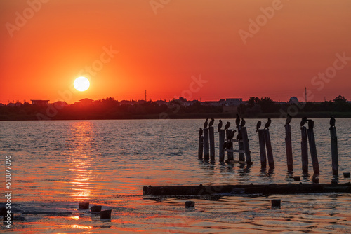 Beautiful red and orange sunset over the sea. The sun goes down over the sea. A flock of cormorants sits on a old sea pier in orange sunset light