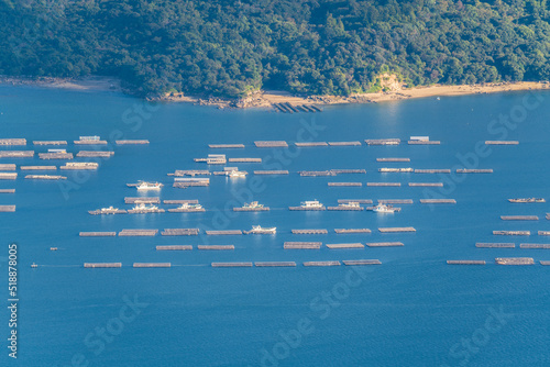 広島県経小屋山から見える宮島の牡蠣棚