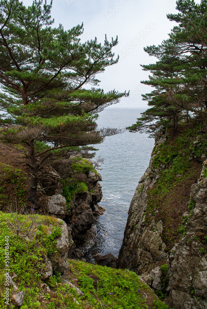 Blurred focus. Seascape. Cape Pine. Blurred focus. Seascape. Cape Pine.