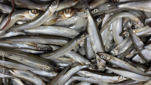 Background of fresh raw capelin fish with ice photo