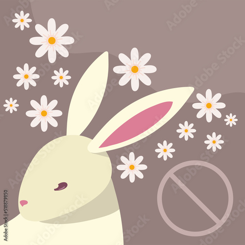 cruelty free, cute bunny