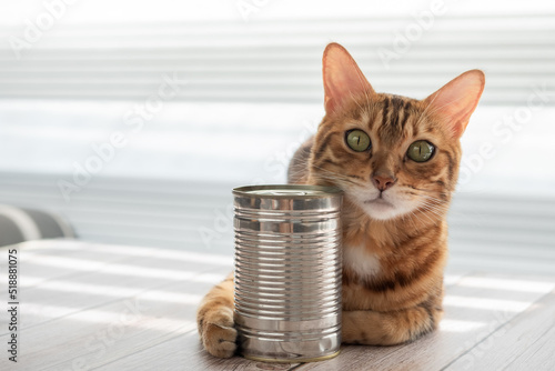 A domestic cat lies and hugs a tin can with one paw.