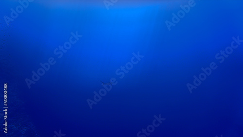 Silhouette of a hammerhead shark in the blue sea