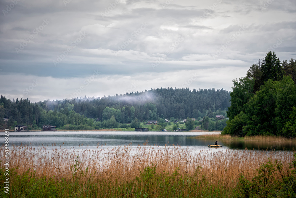 Fototapeta premium a forest lake