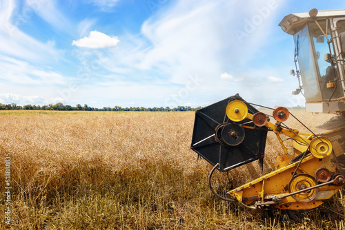 closeup combine harvester cutting ripe rapeseed pods on field