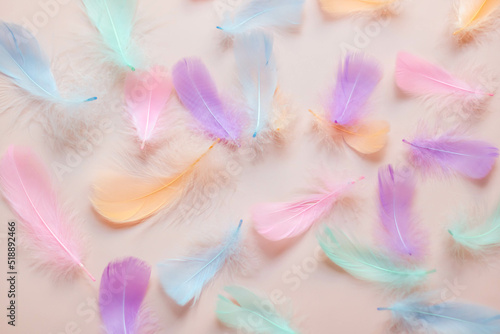 Pastel color feathers on pink background.