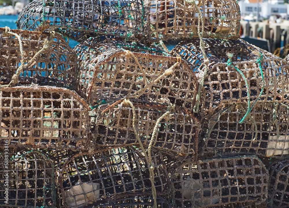 Fish traps to catch lobsters and crabs Stock Photo Adobe Stock