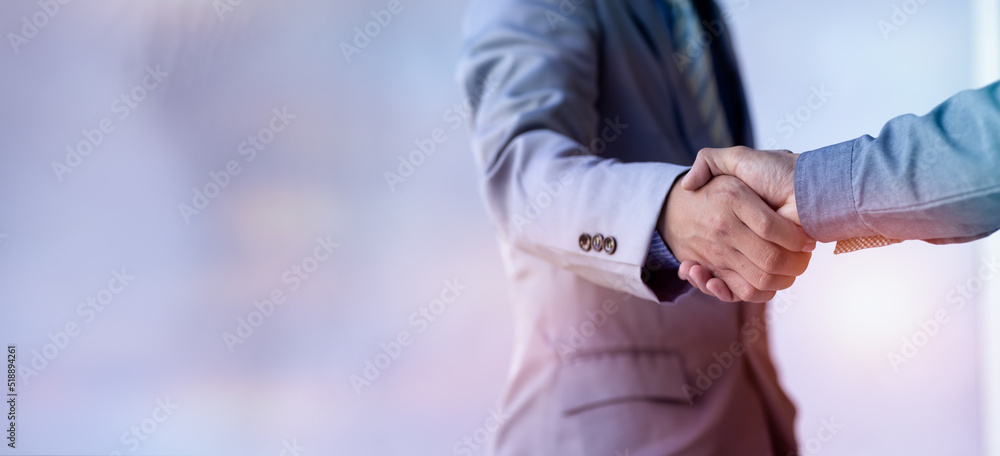 Businesswoman handshake and business people. Successful business concept. - obrazy, fototapety, plakaty 