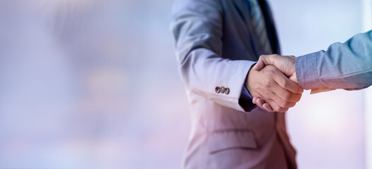 Businesswoman handshake and business people. Successful business concept.