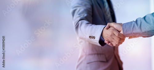 Businesswoman handshake and business people. Successful business concept. photo